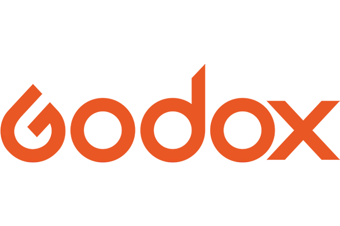 لوگو برند گودکس