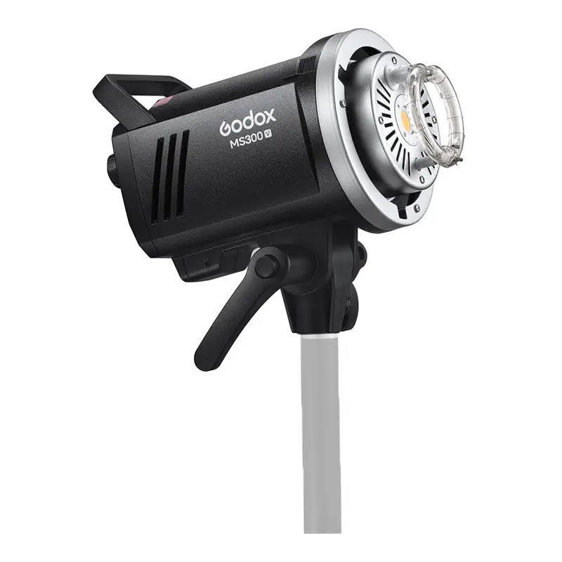 فلاش گودکس مدل MS300-V